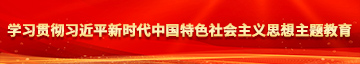 淫荡老熟女日逼网学习贯彻习近平新时代中国特色社会主义思想主题教育